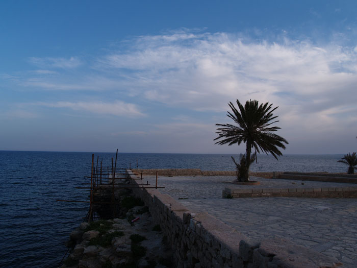 Madhia_0110