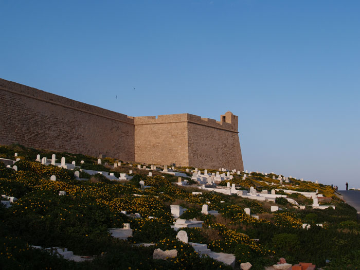 Madhia_0119