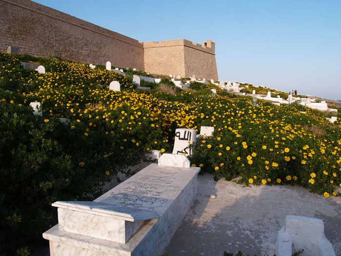 Madhia_0122