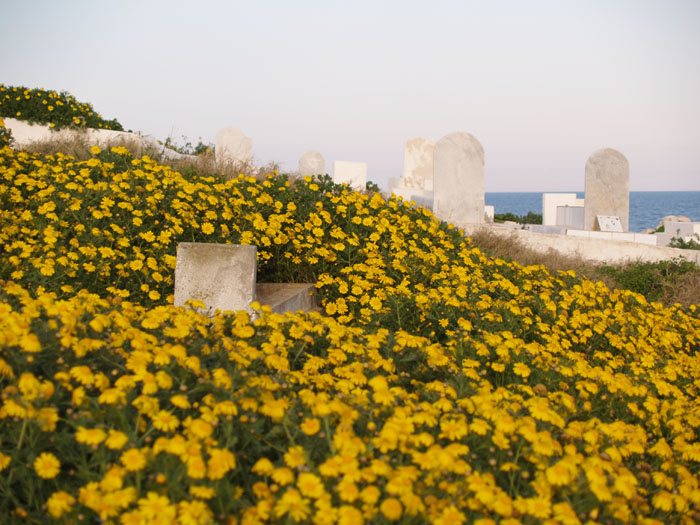 Madhia_0132