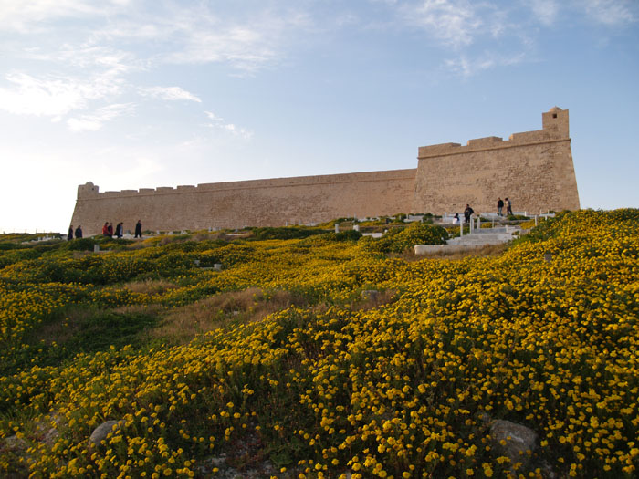 Madhia_0134
