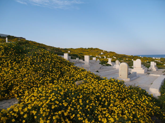 Madhia_0135