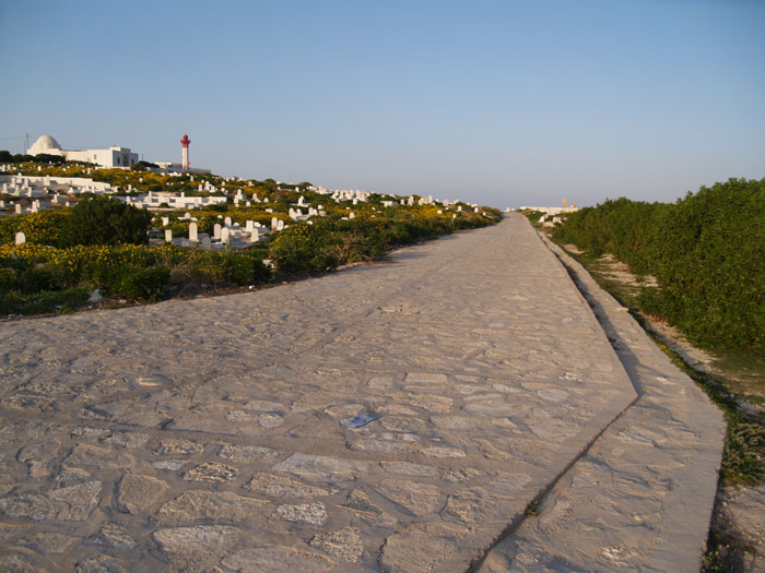 Madhia_0168