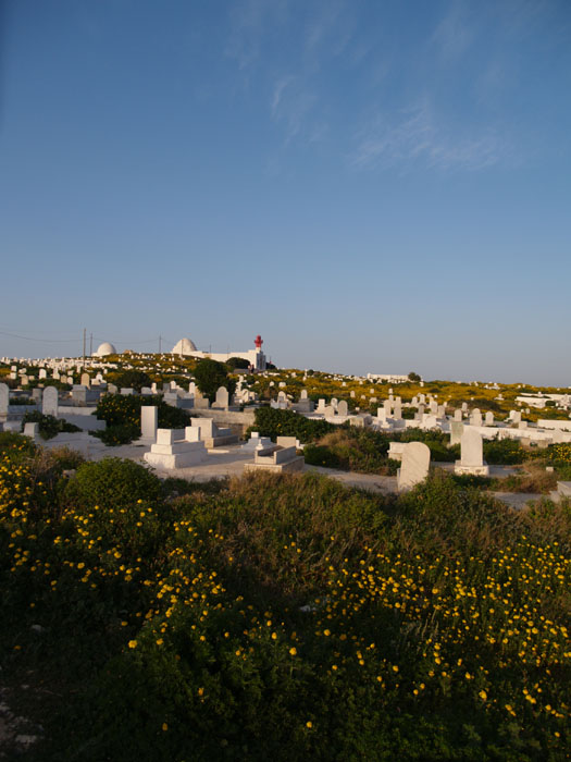 Madhia_0169