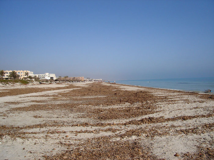 Madhia_0218