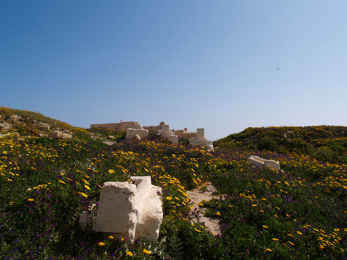 Madhia_0249