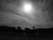 Madhia_0059