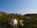Madhia_0249