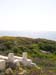 Madhia_0251