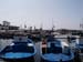 Madhia_0742