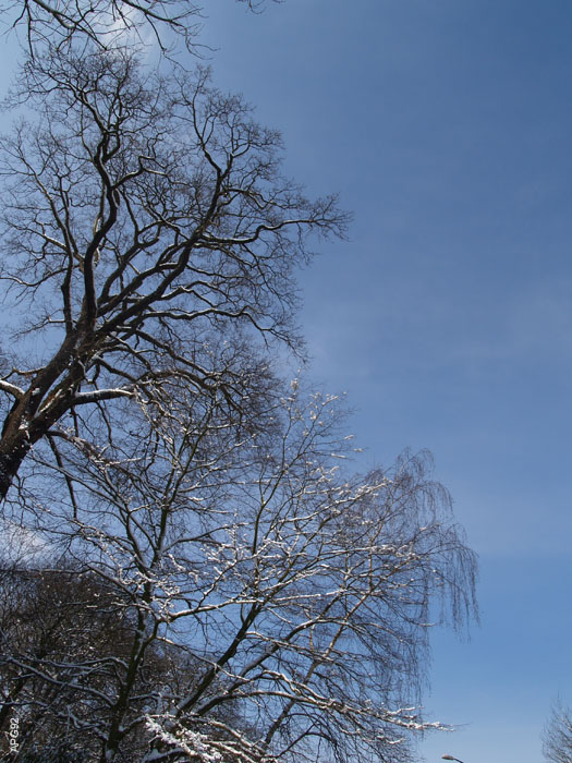 P3043205